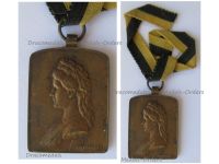 Austria Hungary Commemorative Medal for the Unveiling of Kaiserin Elisabeth's Monument in Vienna 1907 by Neuberger