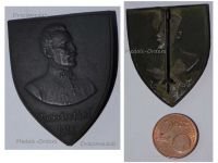Austria Hungary WW1 Cap Badge 49 JTD Pussterthal 49th Infantry Division Archduke Eugen 1916 by Schneider 