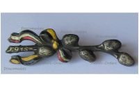 Austria Hungary Germany WW1 Cap Badge Easter on the Front 1915 Oak Branches & Ribbons