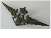 Belgium WW2 Pilot Wings Belgian Royal Air Force Badge with the Royal Cipher of King Leopold III 1935 1945, Pin-Back Type