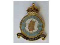 Belgium RBAF Badge 350th Squadron Royal Belgian Air Force
