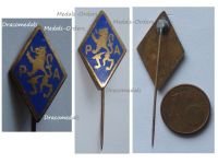 Belgium WW2 Belgian Armed Partisans PA Resistance Group Badge Stickpin