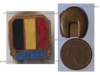 Belgium WW2 Lapel Pin National Federation of Deported Workers Badge FNTD