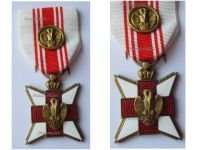 Belgium WW1 Belgian Red Cross Merit Medal for Civilian Blood Donors with Gold Citation