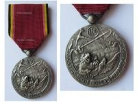 Belgium WW1 Medal for the Belgian Prisoners Conscripted for Forced Labor with the German Civil Worker Battalions ZAB FND 1914 1918