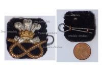 Great Britain WW2 North Staffordshire Regiment (Prince of Wales') Collar Badge
