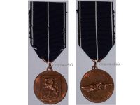 Finland WW2 Commemorative Medal for the War of Continuation 1941 1945