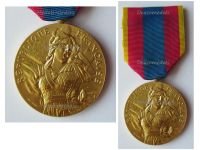 France National Defense Medal 1982 Gold Class