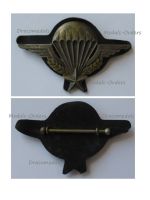France Para Wings Badge Numbered by Drago Paris 1960 Issue (Algerian War)