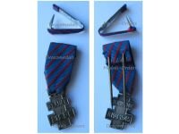 France Libre WW2 Free French Volunteers Commemorative War Cross 1939 1945 with Tie Pin MINI