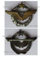 France WW1 Pilot Wings Badge French Air Force 1914 1918 Numbered