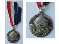 France WW1 Medal for the 50th Anniversary of the Great War Armistice Day 1918 1968 Department of Basses-Pyrenees