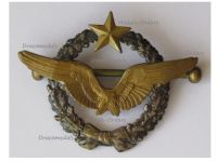 France WW1 Pilot Wings Badge French Air Force 1914 1918 Numbered