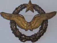 France WW2 Pilot Wings Badge French Air Force 1939 1940 Numbered