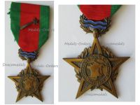 France WW2 Rhine Danube Campaign 1944 Medal 1st Free French Army by LR Paris