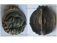 Germany WW1 Colonial Elephant Badge for Service in the German Africa Colonies and the South Seas 1922 Silvered Example