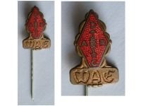 Germany DARC WAE Badge German Amateur Radio Club Stickpin