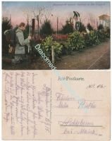 Germany WW1 Postcard Mass Grave of the Fallen, Vosges Mountains, 1915