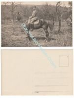 Germany WW1 Photo Cavalry Wachtmeister (Sergeant Major) on Horseback