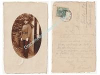 Germany WW1 Portrait Photo, Officer Cadet in full Dress Uniform with Dagger & Port-epee, Postmarked 1915