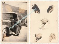 Germany WW2 Photo Wehrmacht Driver, Citroen U23 Light Truck