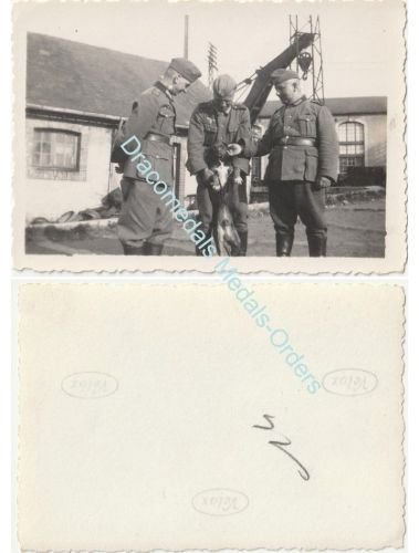 Germany WW2 Photo Wehrmacht Soldiers with Dog