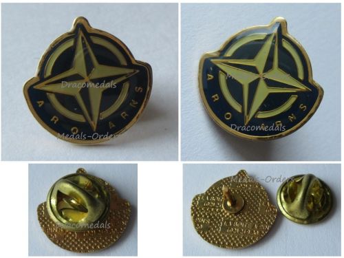 NATO Badge ARO ARNS Lapel Pin of the International Association Former or Retired Civilian Staff